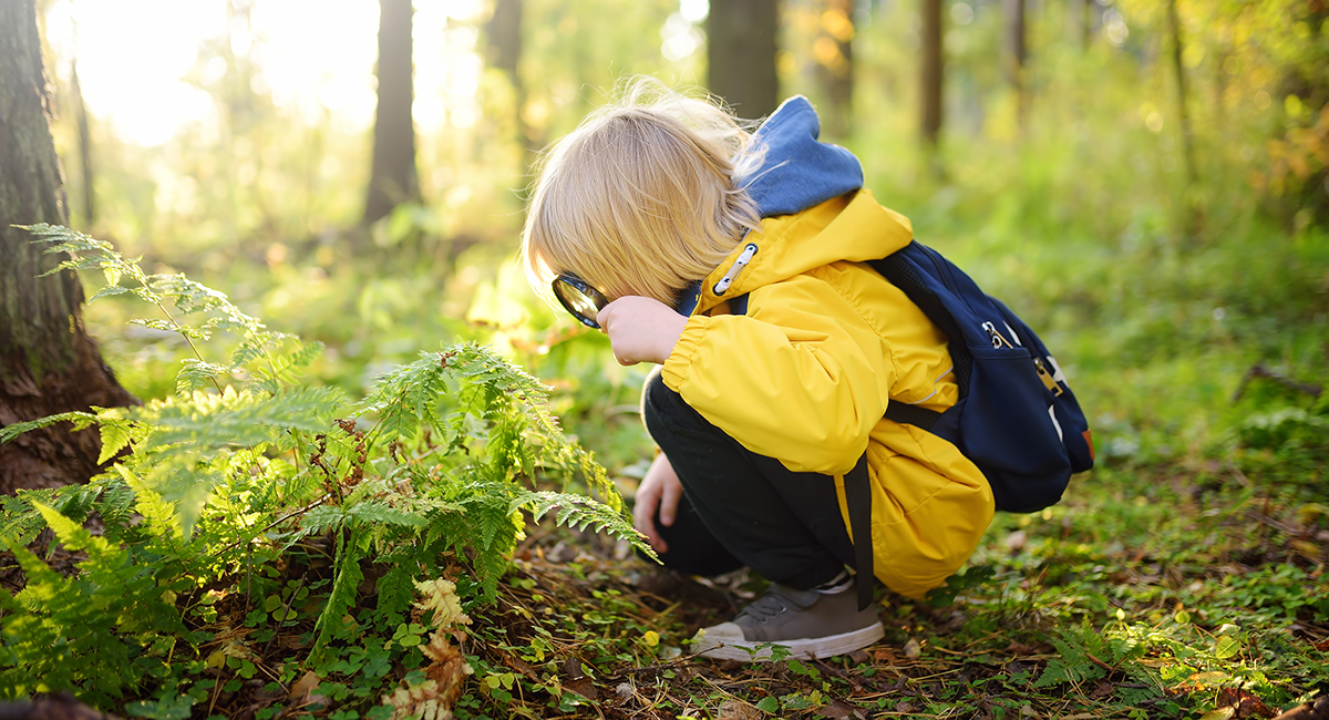 lapsen immuunijärjestelmä: lapsi tutkii metsää