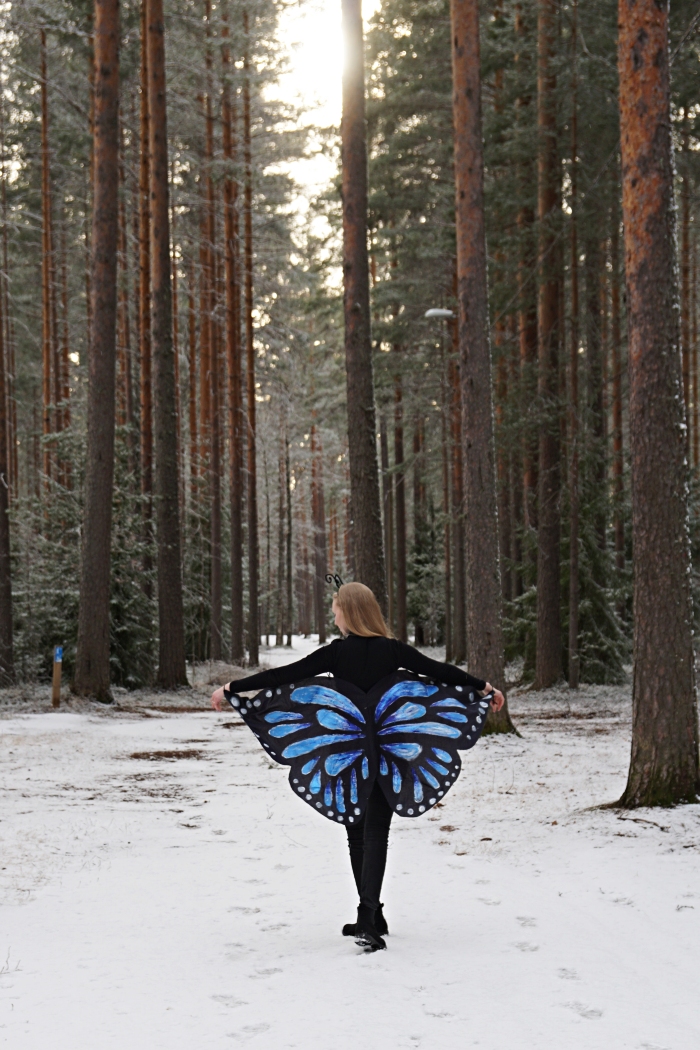 butterfly wings diy