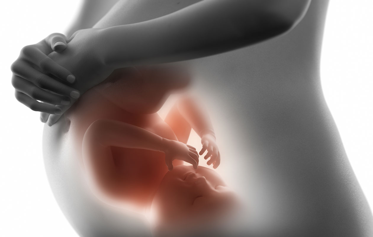 Raskaus viikko viikolta raskauskalenteri raskausviikot sikiön kehitys