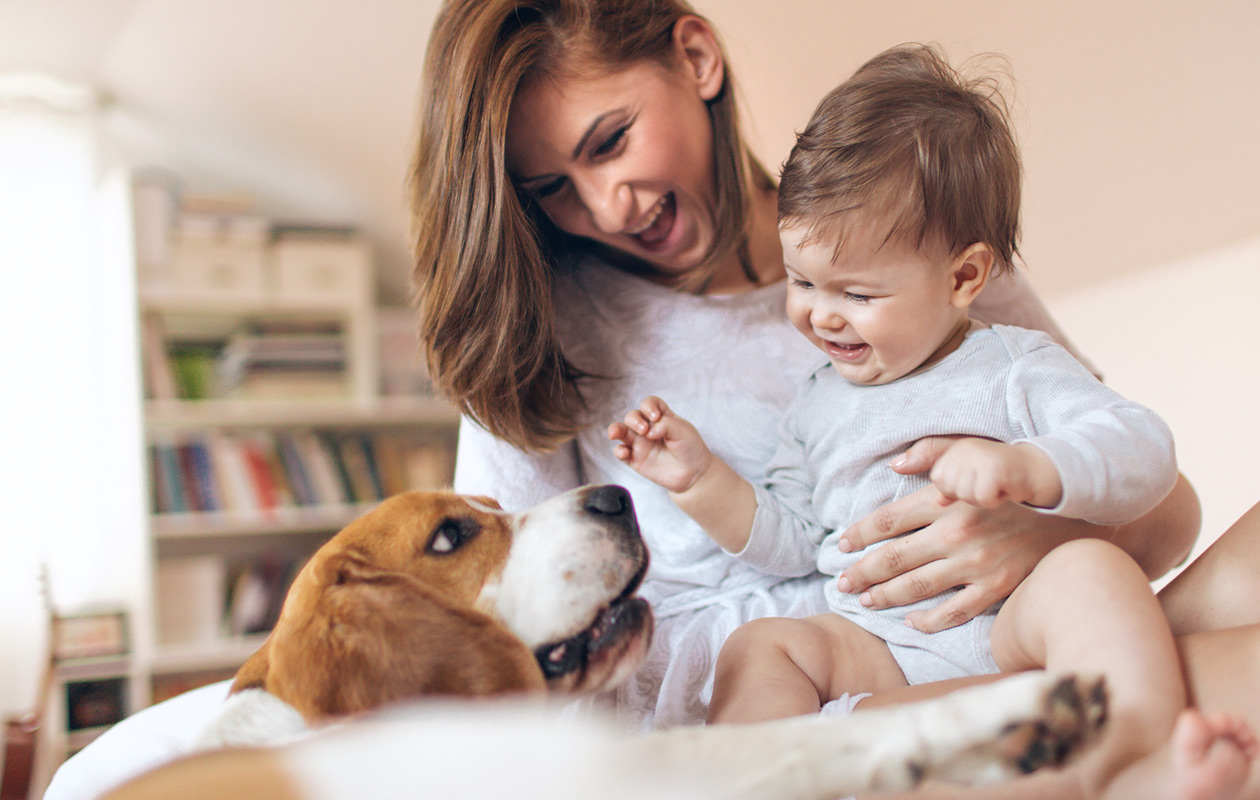 Koira tai kissa vauvaperheessä – miten jaksaa hoitaa lemmikkiä?