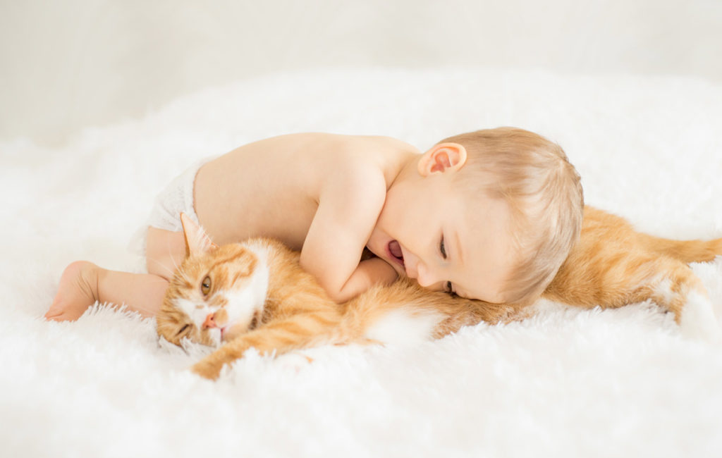kissa ja vauva