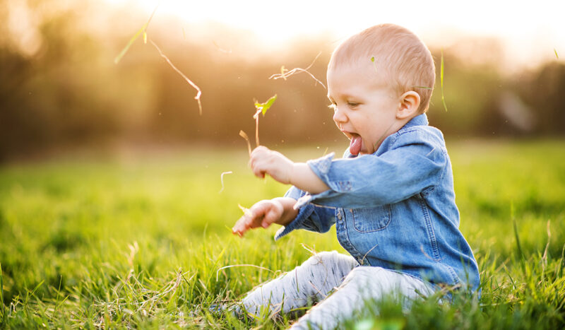 immuunijärjestelmä: lapsi leikkii ruoholla